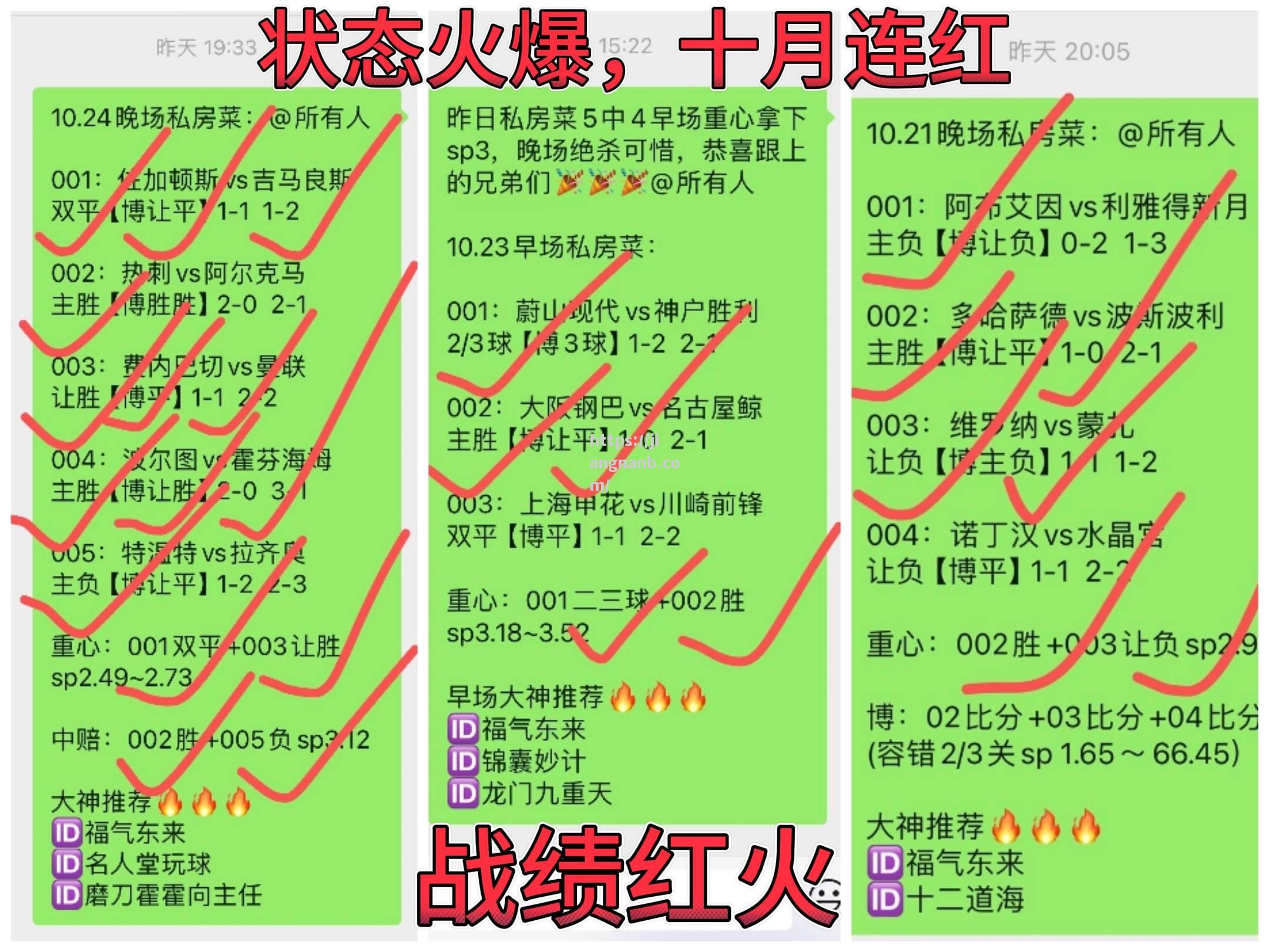 布莱顿主场战绩稳定，球队或有望赢得关键比赛